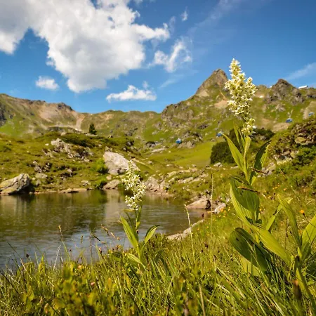 Holiday Steindlwald Holiday home Untertauern