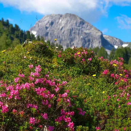 Steindlwald By Interhome بيت للعطل